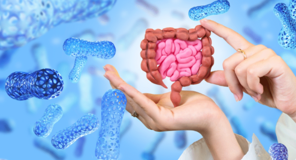 Gut Health